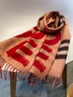 Burberry Scarves 245