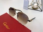 Cartier High Quality Sunglasses 633