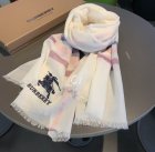 Burberry Scarves 322