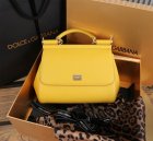 Dolce & Gabbana High Quality Handbags 715