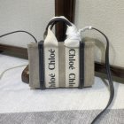 Chloe Original Quality Handbags 307