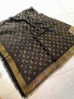Louis Vuitton Scarves 219