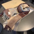 Burberry Scarves 194