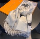 Louis Vuitton Scarves 104