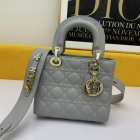 DIOR High Quality Handbags 788