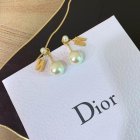 Dior Jewelry Earrings 207
