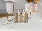 Chloe Original Quality Handbags 272