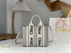 Chloe Original Quality Handbags 263