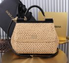 Dolce & Gabbana High Quality Handbags 357