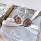Dior Jewelry Earrings 458