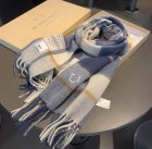 Burberry Scarves 37