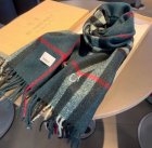 Burberry Scarves 03