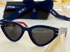 DIOR High Quality Sunglasses 1868