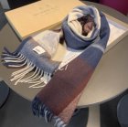 Burberry Scarves 224