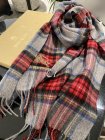 Burberry Scarves 190