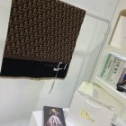 DIOR Scarves 158