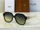 CELINE High Quality Sunglasses 231