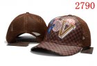 Louis Vuitton Normal Quality Hats 05