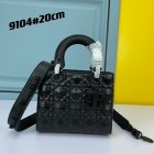 DIOR High Quality Handbags 556