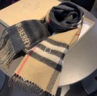 Burberry Scarves 10