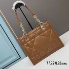 DIOR High Quality Handbags 245