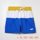 Tommy Hilfiger Men's Shorts 53