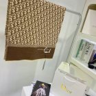 DIOR Scarves 159