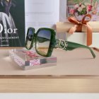 DIOR High Quality Sunglasses 1395