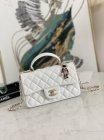 Chanel Original Quality Handbags 815
