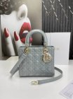 DIOR High Quality Handbags 170