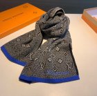 Louis Vuitton Scarves 292
