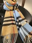 Burberry Scarves 112