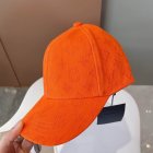 Louis Vuitton High Quality Hats 365