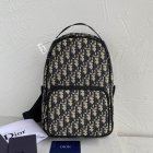 DIOR High Quality Handbags 105