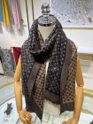 Louis Vuitton Scarves 118