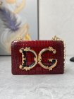 Dolce & Gabbana Original Quality Handbags 531