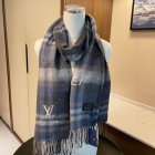 Louis Vuitton Scarves 260