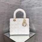 DIOR High Quality Handbags 903