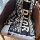 DIOR Scarves 165