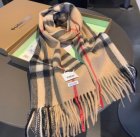Burberry Scarves 44
