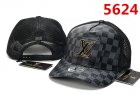 Louis Vuitton Normal Quality Hats 46