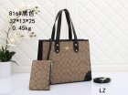Coach Normal Quality Handbags 189