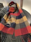 Burberry Scarves 218