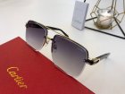 Cartier High Quality Sunglasses 635