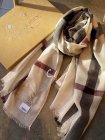 Burberry Scarves 319