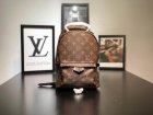 Louis Vuitton Backpack 144