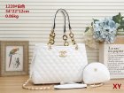 Chanel Normal Quality Handbags 109