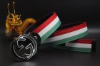 Gucci Normal Quality Belts 613