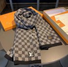 Louis Vuitton Scarves 47