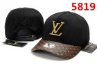 Louis Vuitton Normal Quality Hats 80